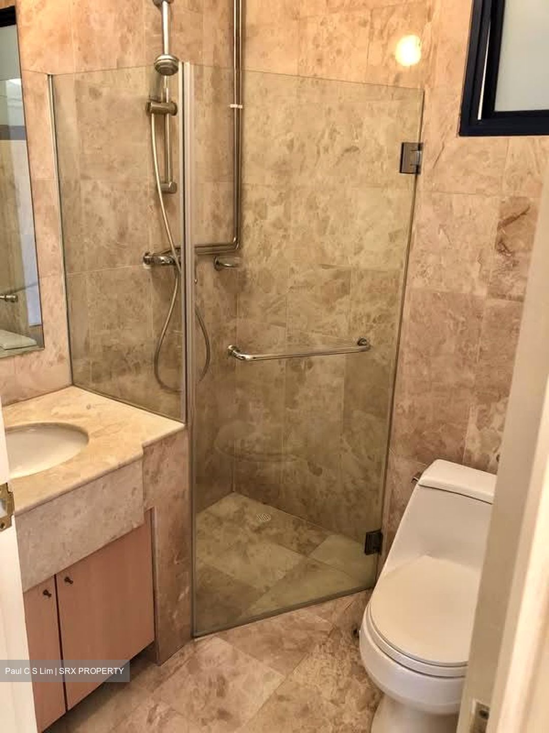 Nineteen Shelford Road (D11), Condominium #534194631